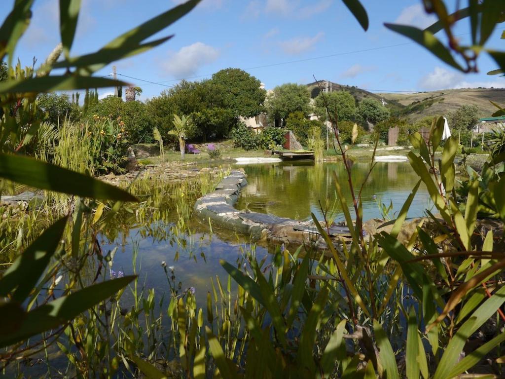 Villa Monte D'Sancho Aljezur Exterior foto